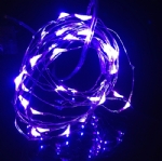 LED Seed Light Purple