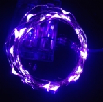 LED Seed Light Purple